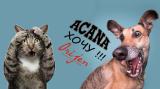 Корма для собак и кошек Acana & Orijen