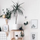 AliExpress HOME