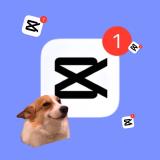 ШАБЛОНЫ CapCut / МЕМЫ REELS