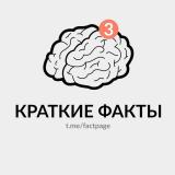 Краткие факты