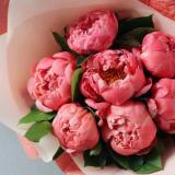 VIP инфопродукты🌺