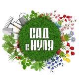 САД С НУЛЯ