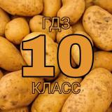 10 КЛАСС (РБ) РЕШЕНИЕ САМОСТОЯТЕЛЬНЫХ📚