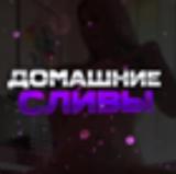 Домашние Сливы