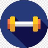 Качалка | GYM | Все о Мышцах
