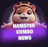 Hamster Kombat | Комбо карточки | Новости RU