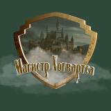 Магистр Хогвартса