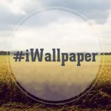 iWallpaper