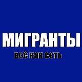 Мигранты — всё как есть