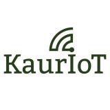 Каури об IT