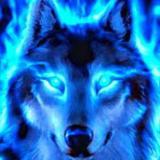 Husky / Raid: SL