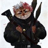 Кот ХП