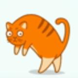 Котопедия