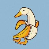 Языки для Telegram!💭