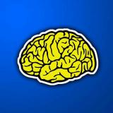 BRAINSTORM 🧠