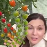 Машин огород и вкусная еда