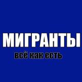 Мигранты — всё как есть