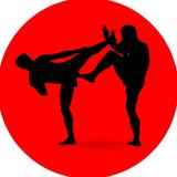UFC | MMA | Боевые искусства