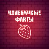 Клубничные факты 🍓