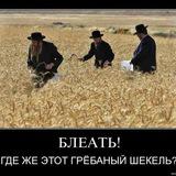 Как преуспеть в Израиле?!