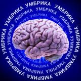 Умбрика🧠