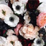 Вредная Мода ✨ VREDNAYAMODA ✨ Aliexpress