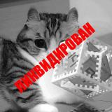 wavacat 📢🔨