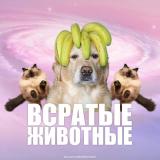 всратые животные